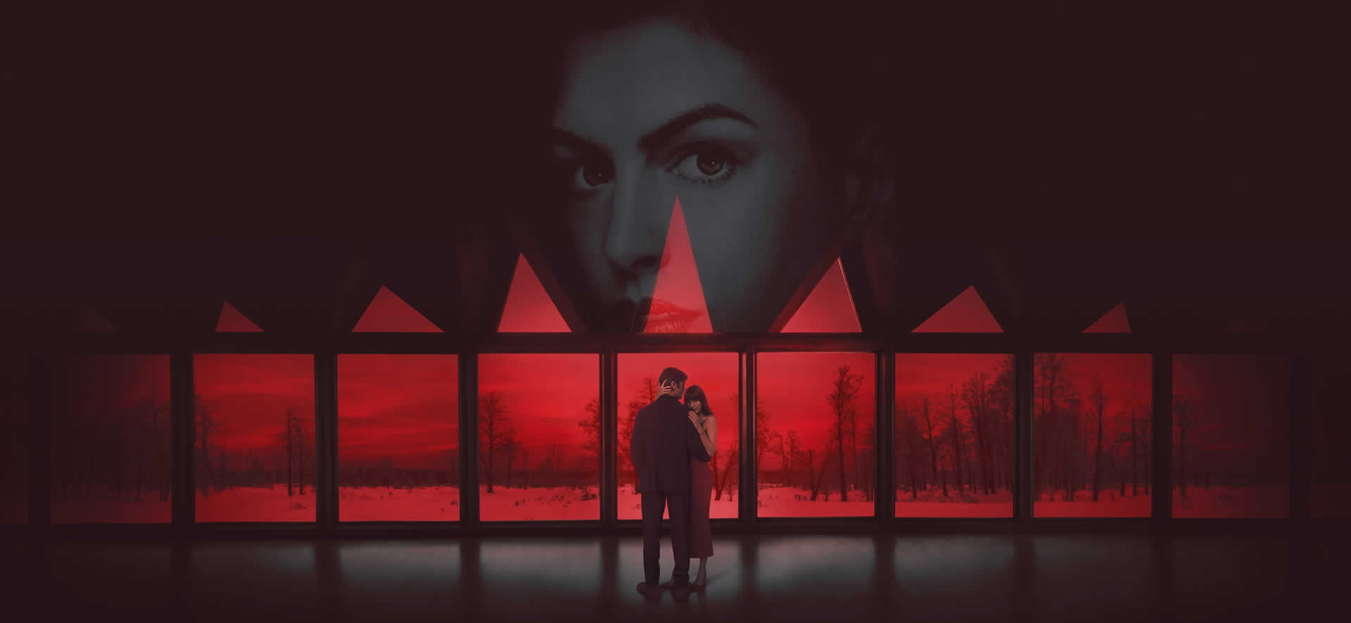 Verity: la sombra de un engaño