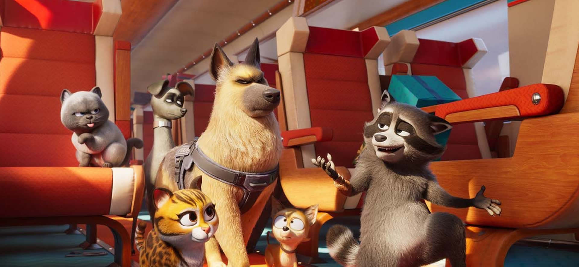 Mascotas al rescate